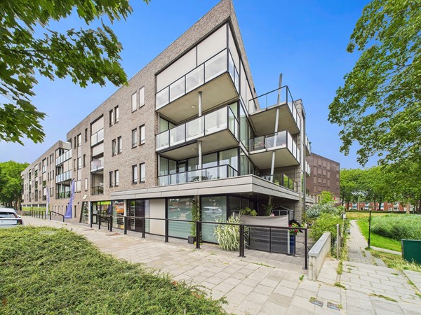 Alberdingk Thijmstraat 45, 4532 CZ Terneuzen